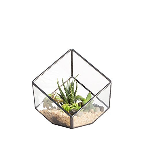 NCYP Small 3.93 Inches Geometric Glass Terrarium Box, Inclined Cube Clear Decorative Planter, Tabletop Air Plant Holder, Succulent Display Flower Pot, Black Centerpiece (No Plants, No Lid)