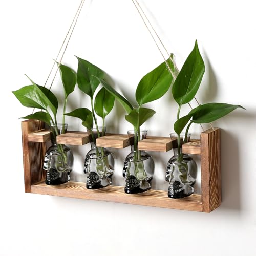 Plant Propagation Stations Halloween Skull Plant Terrarium Kit | Glass Vases Gift for Father Air Planter Home Office Decor - color: Gray