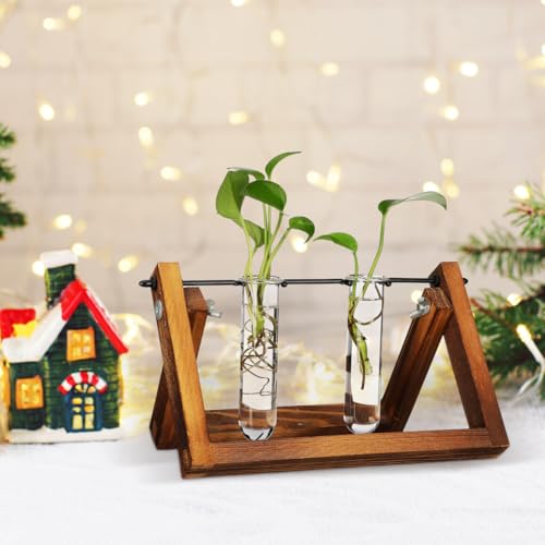 Yardwe 5Pcs Clear Glass Test Tubes Plant Propagation Station - Hydroponic Vases for Home and Office Decor
