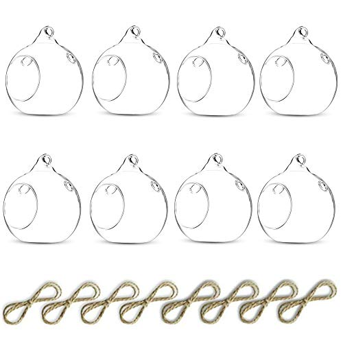 NUPTIO Hanging Tea Light Candle Holders with 2 Holes, 8 Pcs, 3.15 Inch | Glass Terrarium Globes, for Airflow and Styling, Clear Votive Orbs, for Air Plants, Tealights, Home or Garden Decor - size: 8 Pcs