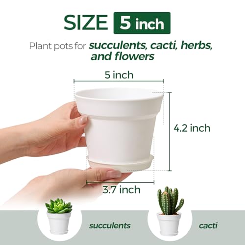 T4U Small Plant Pots 5 Inch 18 Pack, Plastic Flower Pots with Saucer White | Nursery containers for succulents cactus herbs, Desk windowsill shelf, Violet african violet, Compact lightweight - color: White, size: 5 In
