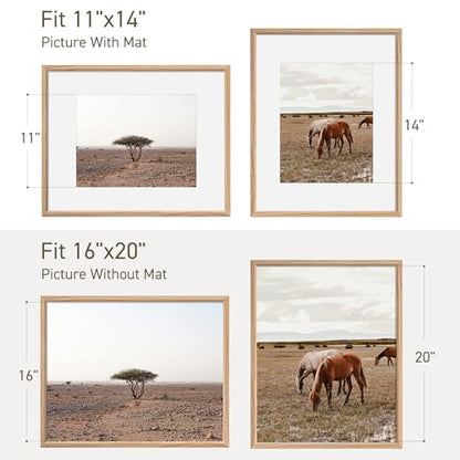 16x20 Picture Frame Set of 4 Natural Solid Oak Photo Frames with 11x14 Removable Mat Wall Hanging Large Handcrafted Frame with HD Plexiglass Wall and Tabletop Display Large Poster Frame - color: Oak, size: 16X20,4P