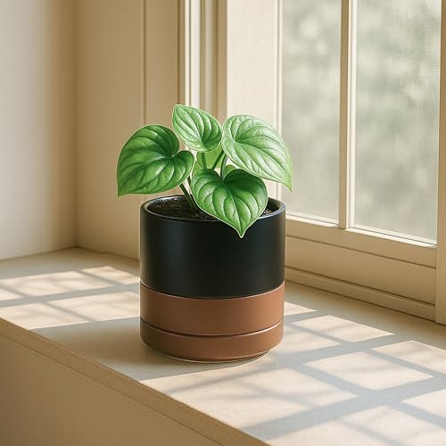 D'vine Dev 4-Pack Ceramic Pots with Saucers, Black/Tan, 4.7 in, 94-X-B-7 | Glazed Ceramic, Drainage Hole and Saucer, Sleek Cylinder Shape, High Temperature Fired, Ideal for Small Houseplants - color: Black/Speckled Tan, size: 4.7 Inch