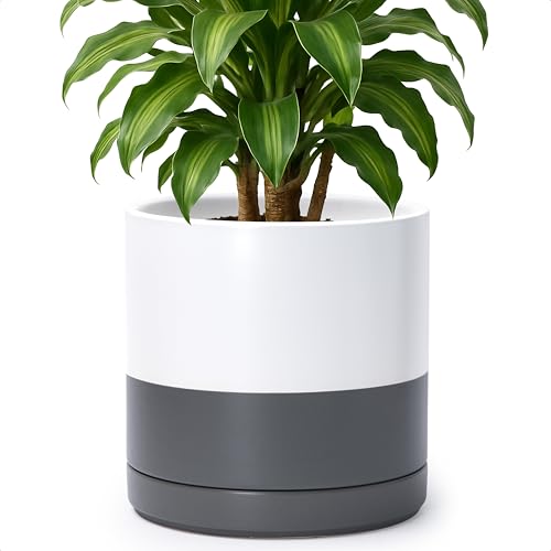 D'vine Dev 10 Inch Ceramic Planter Pot, White/Grey, 94-O-E-6 | Modern Cylinder Design, Drainage Hole & Saucer Included, Stable Structure, Elegant Home Accent - color: White/Speckled Grey, size: Large