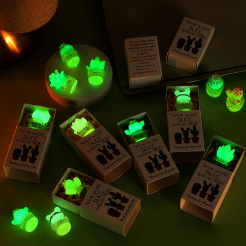 Jenaai 24 Sets Emotional Appreciation Gifts Bulk Mini Resin Cactus Cacti Work Would SUCC Without You Boxes Glow in the Dark Succulent Figurines for Coworkers Gift Employee Team Favors