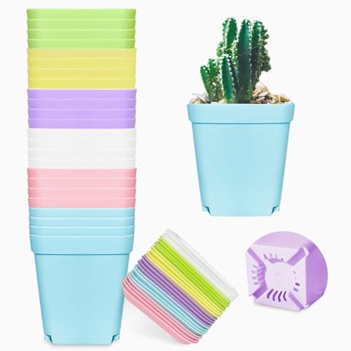 24 Pack 3inch Multi Color Square Plastic Plant Pots,Seedling Nursery Transplanting Planter Container Indoor Outdoor for Your Room,Garden Office and Balcony Decor - color: 6 Colors