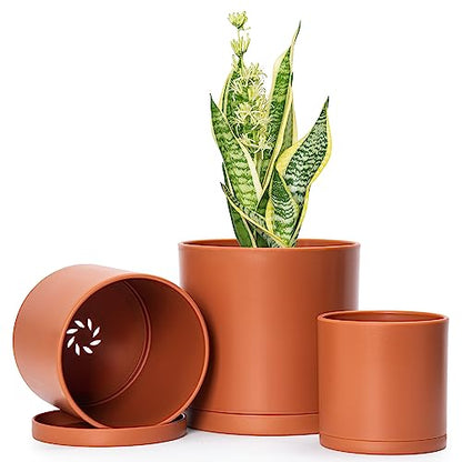 D'vine Dev 3-Pack Plastic Pots & Saucers, 4/5/6 in, Terracotta, 74-V-C-1 | Multi-Size Options, Lightweight Durable, Matte Finish, Cylinder Shape, Drainage Holes, Sleek Design, Detachable Saucer - color: Terracotta, size: Small