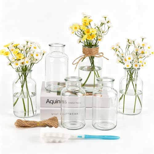 PINIWON Set of 6 Clear Bud Vases, Vintage Small Glass Vases | Medicine Bottles Apothecary Jars with Brush, Flower Vases for Home Decor, Wedding Centerpieces - color: Clear-6pack
