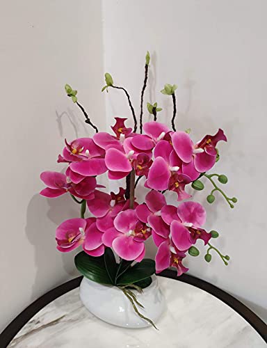 W&W Artificial Orchid Plants and Flowers with Vase, Fake Faux Orchid in Ceramic Pot,17”, Fuchsia - color: Fuchsia 02