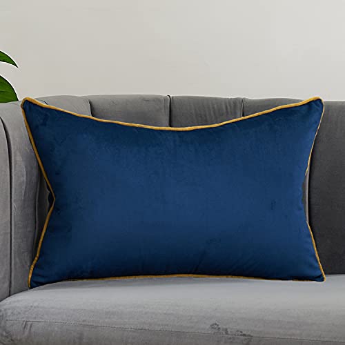 Avigers Lumbar Pillow Cover 12 x 20 Inch, Blue, Velvet, Hidden Zipper | Insert not included; Western plain accent for couch, sofa, bed and living room; removable for seasonal updates - color: Blue, size: 20" x 12" (Pack of 1)