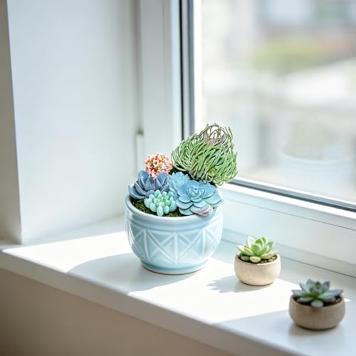 7PCS Flocked Artificial Succulents Set Faux Succulent Plants with Fake Christmas Tree Moss Artificial Cactus Greenery Low Maintenance Fake Plants DIY Craft Home Office Christmas Table (Blue) - color: Blue