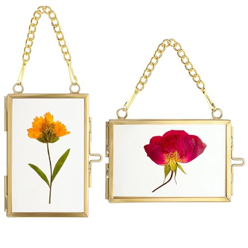 JUXYES 2x3 Hanging Mini Double Glass Picture Frame for Pressed Flower | 2 Pack Wallet Size Tiny Frame Ornament for Xmas Tree Party Wall Decor, Small Gold Hanging Floating Display Frame with Chain - color: Vertical + Horizontal, size: 2 Pack