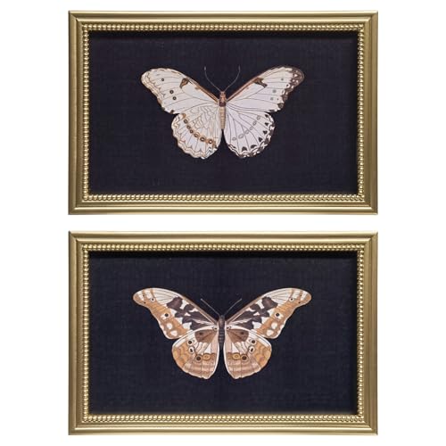Gatheroad Large Vintage Gold Framed Wall Art Set of 2, Horizontal Butterfly & Insect Canvas Art Prints | Dark Moody Aesthetic Home Decor & Modern Artwork for Living Room, Bedroom, Bathroom, 24x16in - color: Black Butterfly, size: 16X24inch