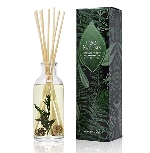 Reed Diffuser Set, Balsam Forest - Bathroom Shelf Décor | REAL Juniper and Pine cones, Fragrance notes of Fraser Fir, Evergreen, Pine, Woodsy Cedar and Sandalwood, Vegan - color: Balsam Forest