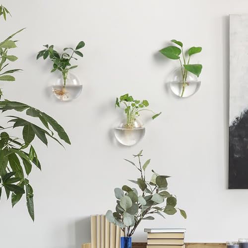 Wall Propagation Planters 6 Pack Wall Glass Planters Wall Plant Holder | Glass Wall Vase, Indoor Hydroponic Decor, Plant Propagation Wall Hanging