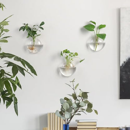 Wall Propagation Planters 6 Pack Wall Glass Planters Wall Plant Holder | Glass Wall Vase, Indoor Hydroponic Decor, Plant Propagation Wall Hanging