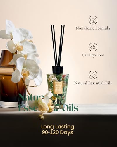 M&SENSE Reed Diffuser Set, Sage Citrus, 8.79 oz Natural Essential Oil | Non-Toxic Organic, Long-Lasting Fragrance, Ideal for Home Office, Bedroom, Gifts for Women - color: Citrus Sage