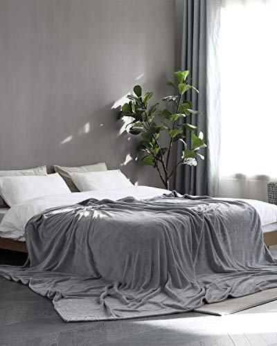 Fleece Blanket King Size Grey Lightweight Super Soft Cozy Luxury Bed Blanket Microfiber - color: Grey, size: King(108"x90")