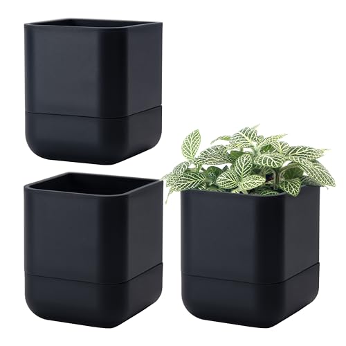 Phoenix Vine 4.5 Inch Wall Mounted Self-Watering Planter Pot for Indoor Houseplants and Herbs | Hanging Planter for Window Sills, Bathroom Walls, Home & Office Décor, Black, Set of 3, 01-B-E-3 - color: Black, size: 4.5" (3 Pack)