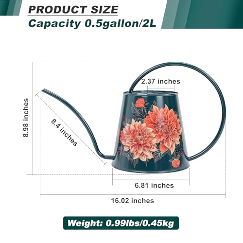Berry&Bird 2L Long Spout Watering Can, Stainless Steel Water Can (Dahlia) | 2L stainless steel watering can, long narrow spout, elegant print, curved handle, leakproof, houseplant watering & decor - color: Dahlia
