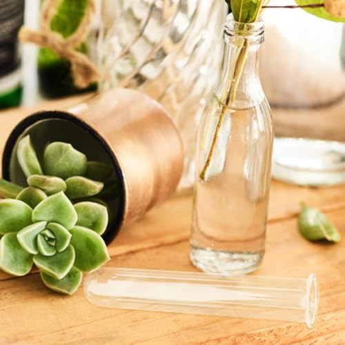 4Pcs Hydroponic Glass Tube Vases for Plant Propagation | Clear Glass Design, for Flower Arrangement, Desktop Shelf Bedside Decor, 15 x 3 cm Size