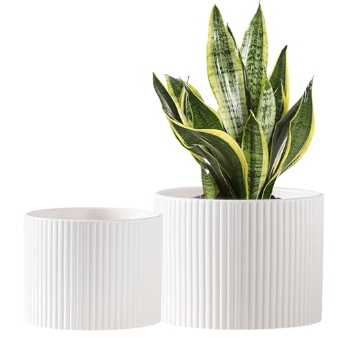 Ceramic Plant Pots, 8.1 + 6 Inch Planters for Indoor Plants, Modern Flower Pots for Plants with Drainage, Medium Cylinder Flower Pots for Indoor Plants, House Plants, Matte White - color: Matte White2