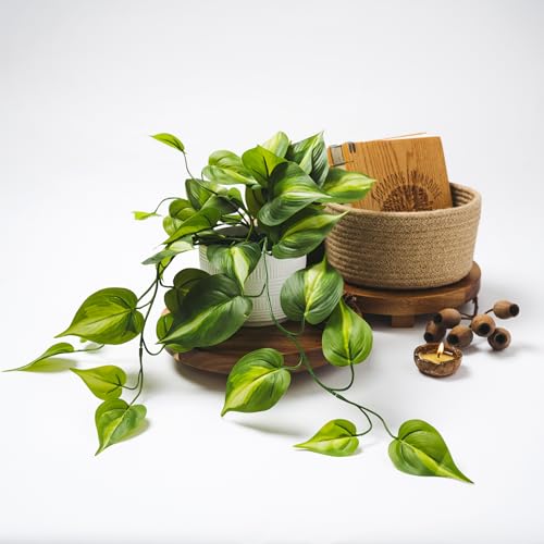 Kurrajong Farmhouse Dark Green Fake pothos | Fake Plant for Shelf Decor | Artificial Trailing Ivy Plant with 5" Wide Ceramic Pot | Faux pothos | Feaux Pothos | Bathroom and Kitchen Decor