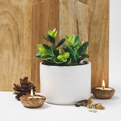 Kurrajong Farmhouse Artificial Plant in White Ceramic Pot | 7.5" Fake Plant for Desk Decor | Artificial Succulent in Pot | Fake Succulent | Faux Plant for Shelf Decor