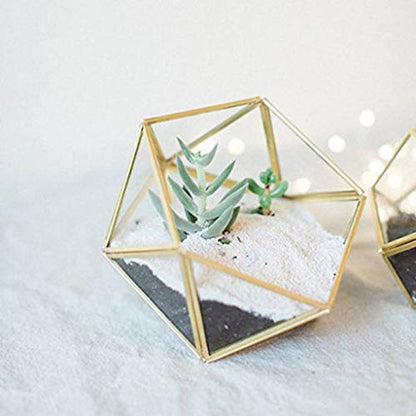 Glass Terrarium Storage Box Jewelry Holder Glass Geometric Tabletop Succulent Plant Box Planter Holder for Case Black Go - color: Gold