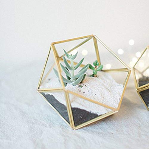 Glass Terrarium Storage Box Jewelry Holder Glass Geometric Tabletop Succulent Plant Box Planter Holder for Case Black Go - color: Black