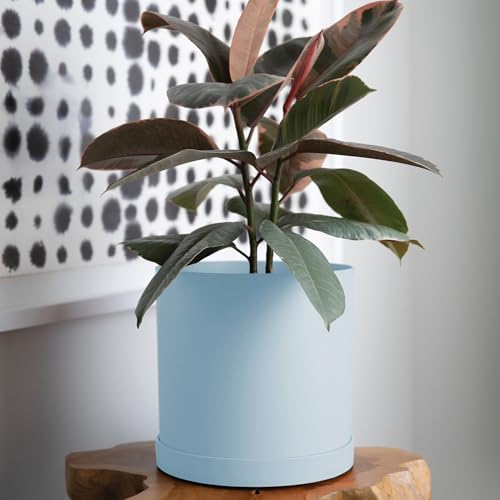 Bloem Mathers Planter w/Saucer Tray 10" Misty Blue - color: Misty Blue, size: 10"