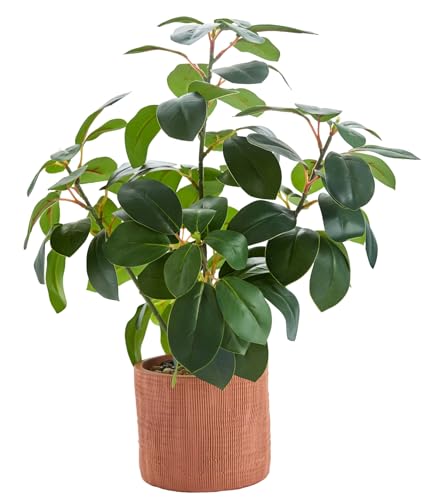 AlphaAcc 16“ Artificial Ficus Plant in Ceramic Pot for Desk Indoor Decor | Realistic oval ficus leaves with in ceramic pot. Maintenance-free faux plant, ideal decor for home office shelf and desktop. - color: Ficus