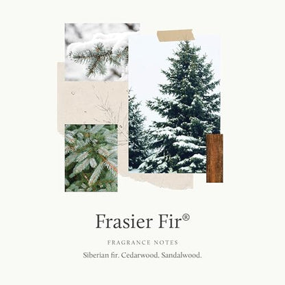 Thymes Frasier Fir Candle - Gilded Collection - Wood Grain Ceramic Design with 24-Karate Gold Rim - Mountain Fresh Fragrance - Elegant Winter Candle Scents - Gifts for Women & Men (3-Wick, 20 oz) - size: 20 oz