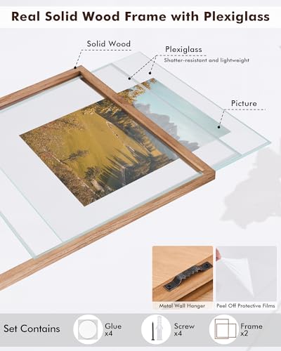 DLQuarts 18x24 Floating Picture Frame for 16x20/13x19/12x18/11x14 Photos, 2-Pack Solid Wood Double Plexiglass Wall Art Frames, Any Size Photo up to 18x24 Display, Carbonized Wood - color: Carbonized Wood, size: 18x24