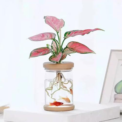 Propagation Station - Desktop Hydroponic Vases for Water Plants, Glass Plant Jars, Gardening Gift for Women, Mom & Plant Lovers, Set for Rooting & Display