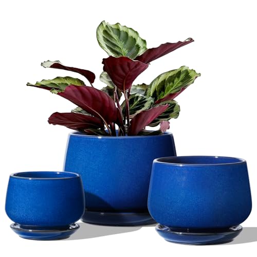 LE TAUCI Plant Pots, 4.1+5.1+6.5 inch, Set of 3, Ceramic Planters with Drainage Hole and Saucer, Indoor Flower Pot with Hole Mesh Pad, Gifts for Mom, Sapphire Blue - color: Sapphire Blue