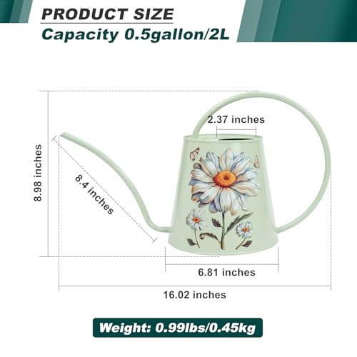 Berry&Bird 2L Long Spout Watering Can, Stainless Steel (Bellis Perennis) | 2L stainless steel watering can, long narrow spout, elegant print, curved handle, leakproof, houseplant watering & decor - color: Bellis Perennis