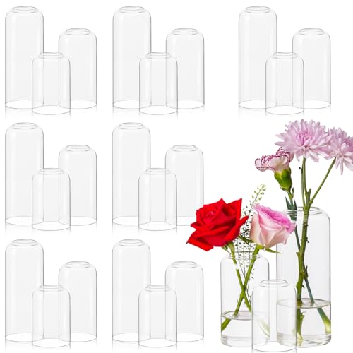 Glass Bud Vases Set of 24 - Clear Flower Vases for Centerpieces, Small Glass Vase Modern Bud Vase for Wedding Party Dining Table Centerpieces, Living Room Decorative, Home Decor - size: 24 Pcs
