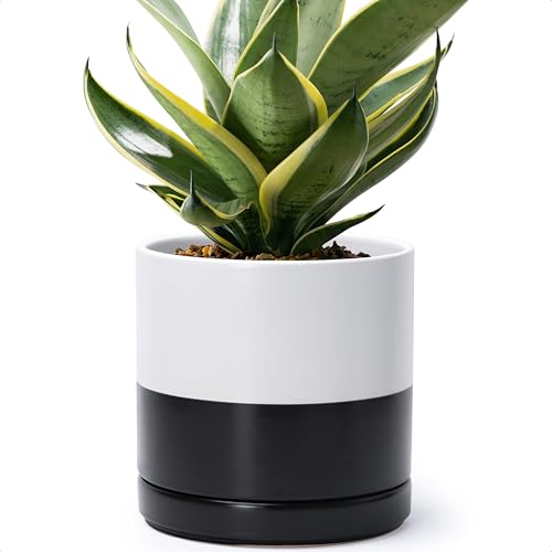 D'vine Dev 8.2 Inch Ceramic Planter Pot, Black White Two Tone, 94-O-D-L | Modern Cylinder Design, Drainage Hole & Saucer Included, Stable Structure, Elegant Home Accent - color: Layered Monochrome Black & White, size: Medium