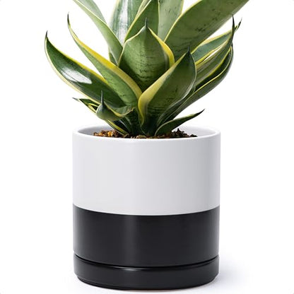 D'vine Dev 8.2 Inch Ceramic Planter Pot, Black White Two Tone, 94-O-D-L | Modern Cylinder Design, Drainage Hole & Saucer Included, Stable Structure, Elegant Home Accent - color: Layered Monochrome Black & White, size: Medium