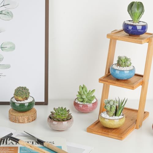 T4U 2.5 Inch Small Ceramic Succulent Planter Pot with Drainage Hole Set of 6, Ice Crack Glaze Plant Container for Cactus, Gardening Plant Gifts for Women Mom Aunt Home Office Decor | Cactus planters set, indoor herb garden, bonsai tree starter, tabletop c