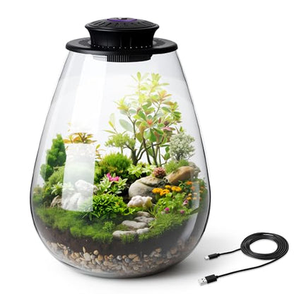 Desktop Glass Terrarium with Grow Light, 6.7 x 8.7 Inches, Mini Borosilicate Glass Plant for Succulent Moss Miniature Gardening Landscape, Small Fish Tank, Indoor Plant Growth, Empty Bottle