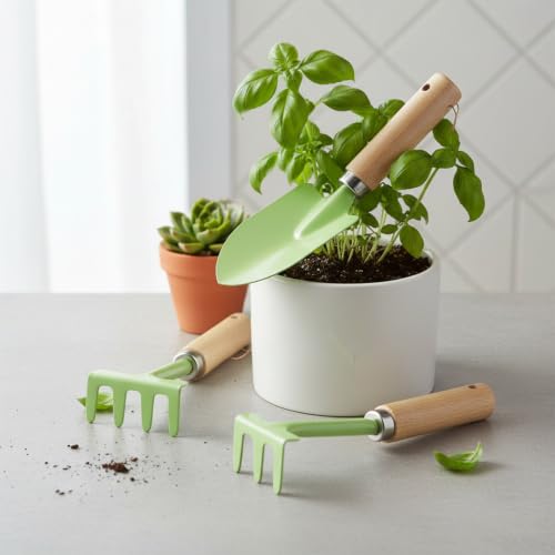 3-Piece Mini Garden Tool Set with Beech Wood Handles and Iron Heads for Indoor Plants, Succulents, and Small Pots - size: 11.02 x 3.54 x 1.18 in
