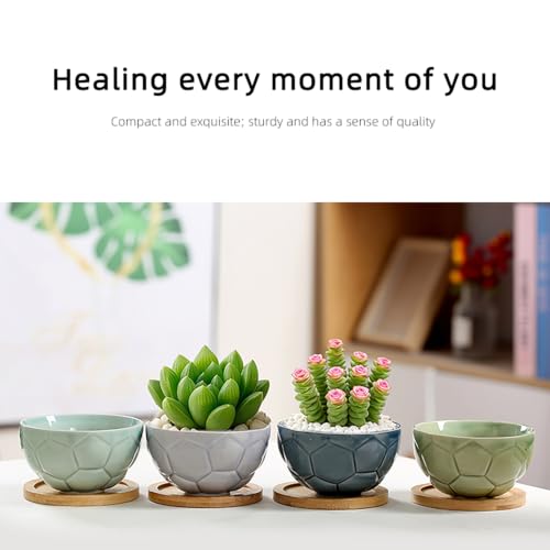 YYW Ceramic Succulent Planter, 4 Pack Cute Garden Pots with Drainage and Attached Saucer - color: Light Ceramics