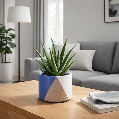 D'vine Dev 2-Pack Cachepot with Clear Pot, 6.5"low, Cobalt Canyon, 93-V-D-3 | Dual-Pot System, Root Visibility, Bottom Watering Support, Enhanced Drainage, Artistic Stoneware Design, Easy Plant Care - color: Cobalt Canyon, size: 6.5” Cachepot + 6“ Clear G