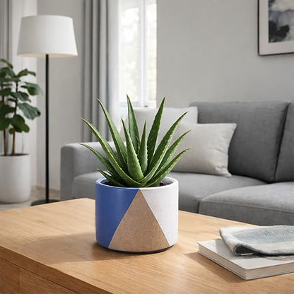 D'vine Dev 2-Pack Cachepot with Clear Pot, 6.5"low, Cobalt Canyon, 93-V-D-3 | Dual-Pot System, Root Visibility, Bottom Watering Support, Enhanced Drainage, Artistic Stoneware Design, Easy Plant Care - color: Cobalt Canyon, size: 6.5” Cachepot + 6“ Clear G