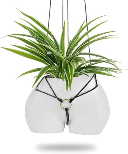 Cute Planter Gift for Plant Lovers: Cute Hanging Plant Pot | Resin Hanging Planter with Drainage Plugs for Succulents, Ivy and Indoor or Outdoor Plants, Tabletop or Hanging Display - color: White