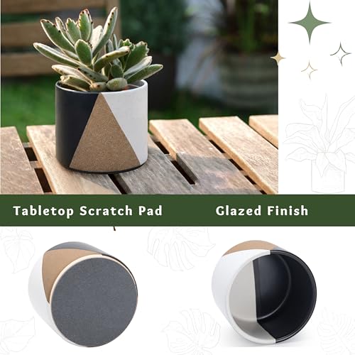 D'vine Dev 2-Pack Cachepot with Clear Pot, 4.5 in, Midnight Mesa, 93-V-B-2 | Dual-Pot System, Root Visibility, Bottom Watering Support, Enhanced Drainage, Artistic Stoneware Design, Easy Plant Care - color: Midnight Mesa, size: 4.5” Cachepot + 4“ Clear Gr