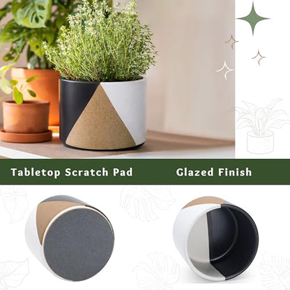 D'vine Dev 2-Pack Cachepot with Clear Pot, 6.5"low, Midnight Mesa, 93-V-D-2 | Dual-Pot System, Root Visibility, Bottom Watering Support, Enhanced Drainage, Artistic Stoneware Design, Easy Plant Care - color: Midnight Mesa, size: 6.5” Cachepot + 6“ Clear G