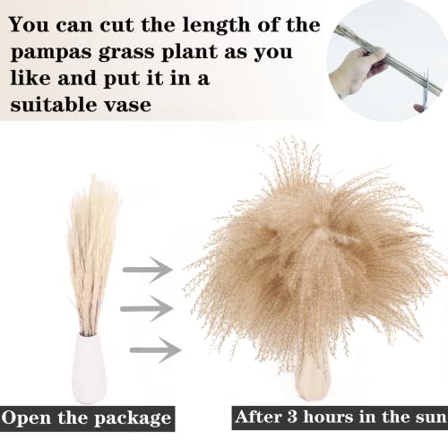 200PCS Dried Flower Bouquet – Pampas Grass, Floral Decor for Home, Wedding, and Boho Style | Perfect for Vases, Fall, Spring, Summer, and Winter Arrangements - size: 200PCS